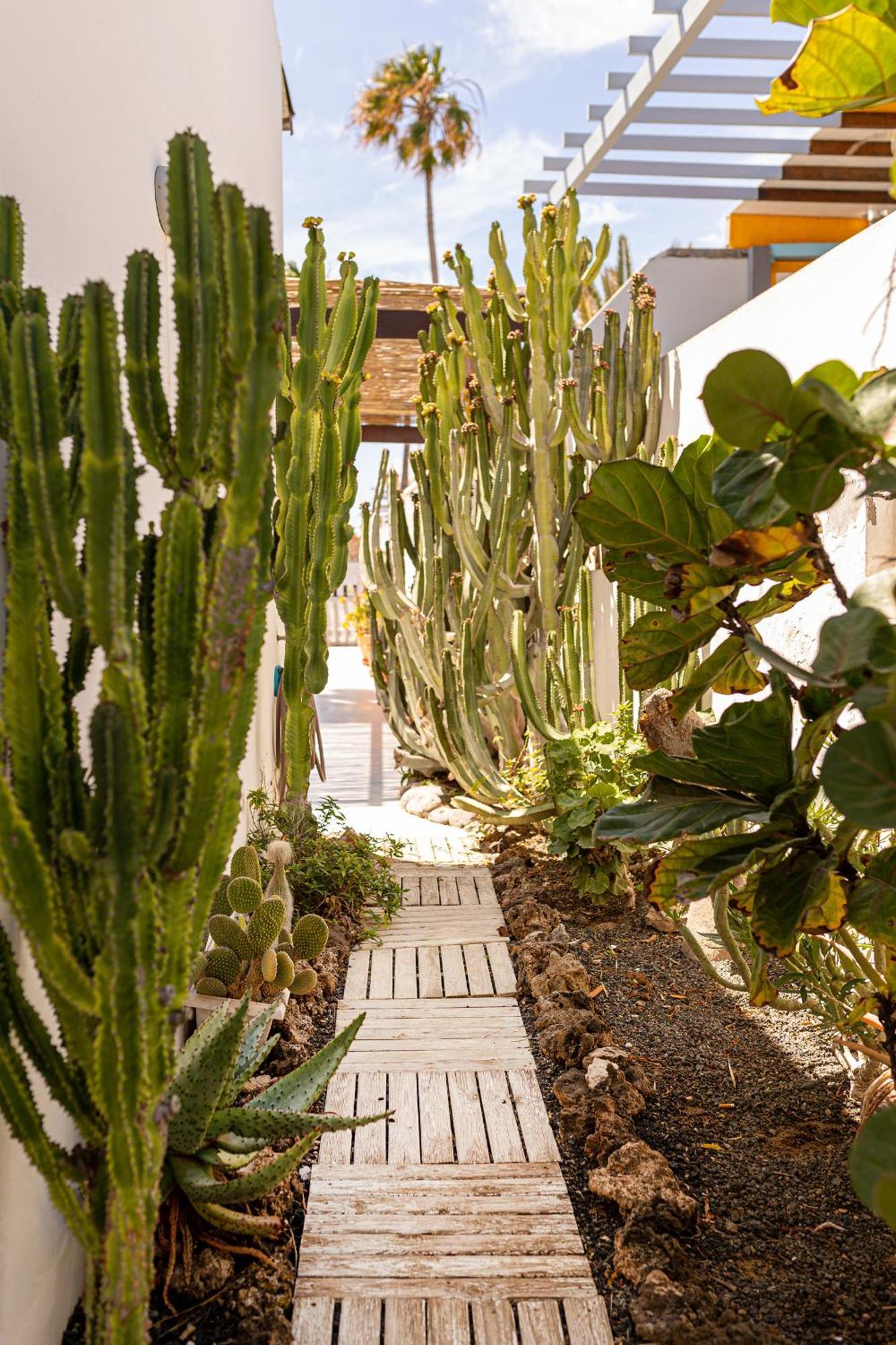 El Piloto By Best Holidays Fuerteventura Corralejo Eksteriør billede